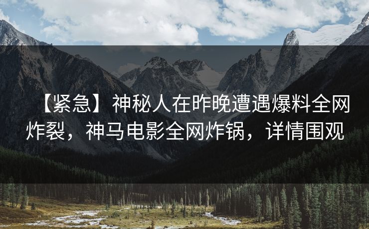 【紧急】神秘人在昨晚遭遇爆料全网炸裂，神马电影全网炸锅，详情围观